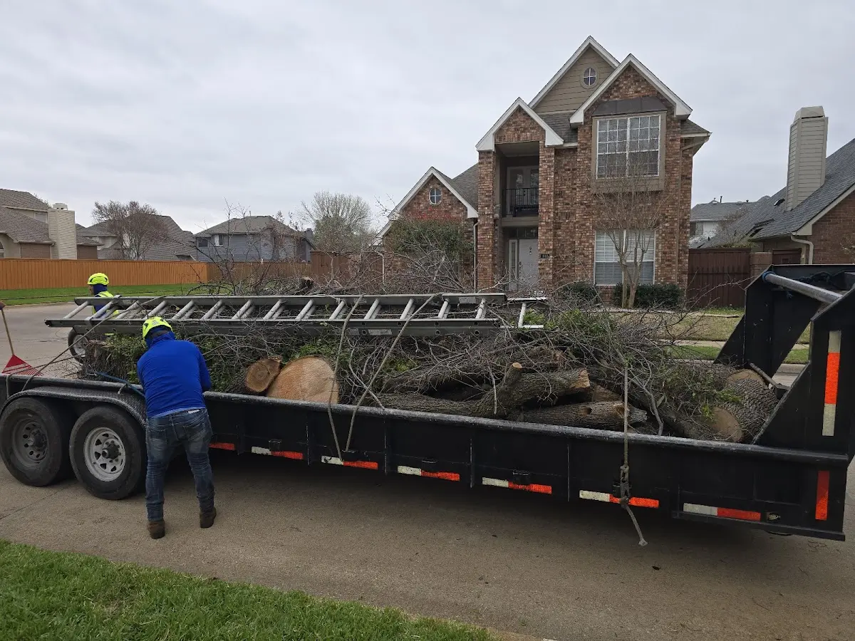 Expert Tree Fertilization with proper safety equipment in Middleburg